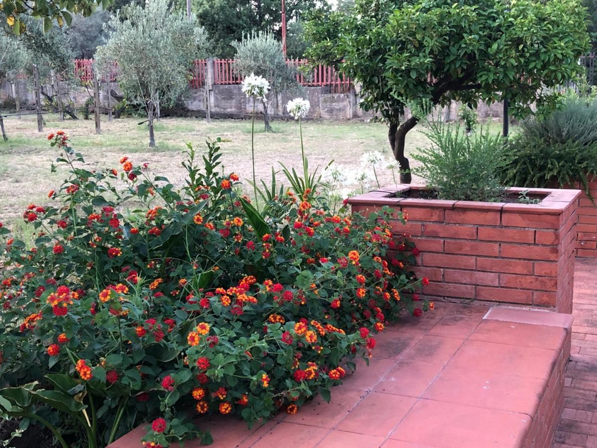 אסראלה Villa Carolea מראה חיצוני תמונה