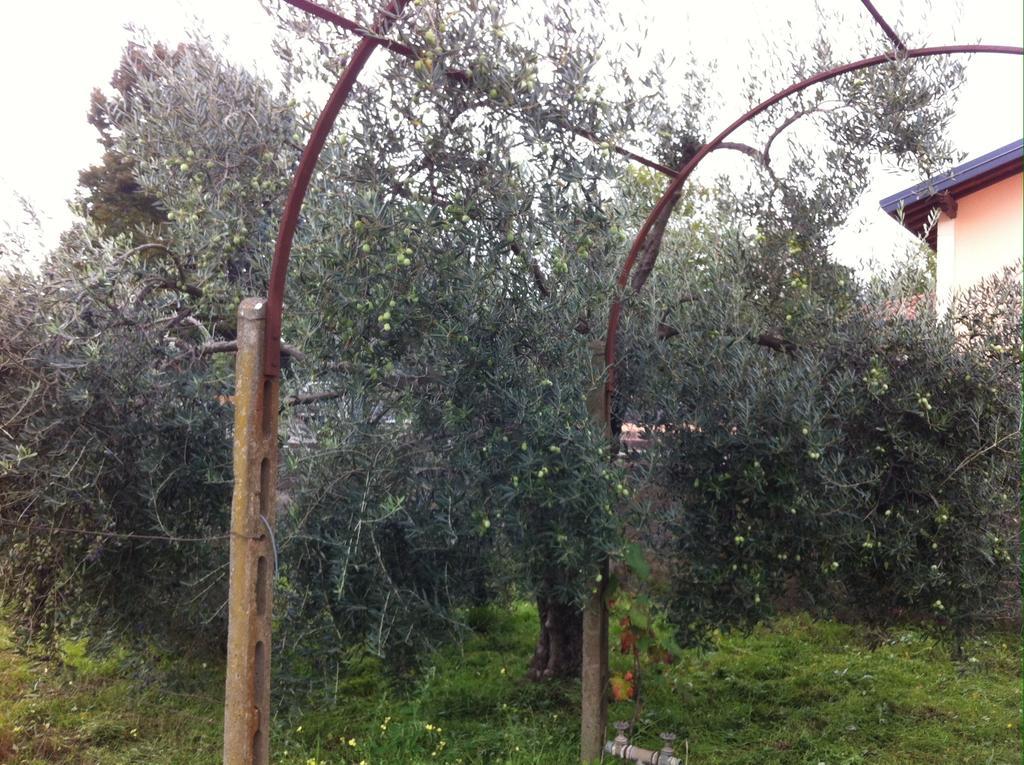 אסראלה Villa Carolea מראה חיצוני תמונה