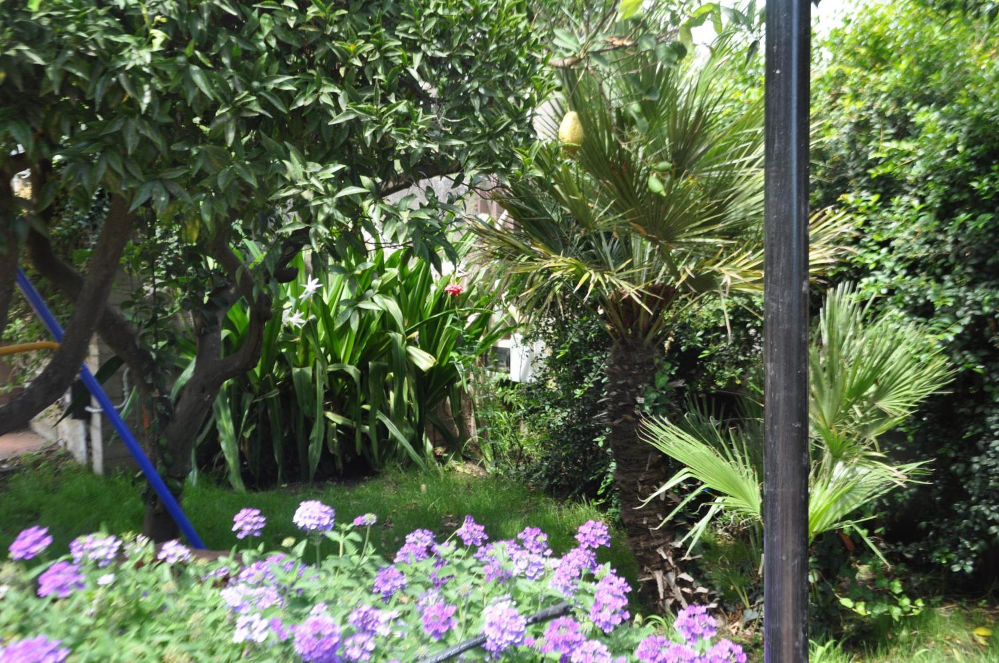 אסראלה Villa Carolea מראה חיצוני תמונה
